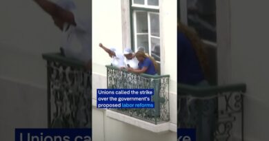 Protesters and riot police face off during Portugal’s general strike | DW News