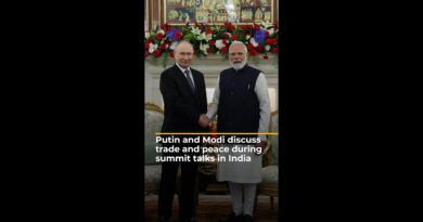 Putin and Modi discuss trade and peace at summit talks in India | AJ #shorts