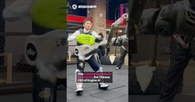 Putting Internal Servo in IP Man🤖-