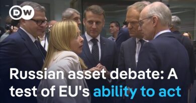 Russian asset debate: Why the reparations loan mechanism could be legal | DW News