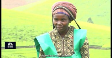 Rwanda’s Value Addition to Tea