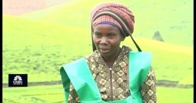 Rwanda’s Value Addition to Tea