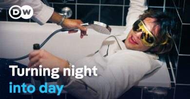 Sausage stands and coffee houses – When night falls in Vienna | DW Documentary