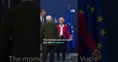 Serbian President’s hot mic moment meeting EU leaders | DW News