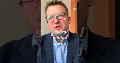 Should private fireworks be banned? | DW News