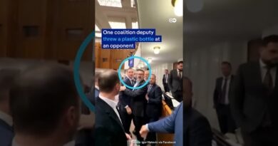 Slovak lawmakers scuffle as parliament revises laws on whistleblowers | DW News