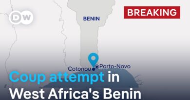 Soldiers appear on Benin state television announcing apparent military coup | DW News