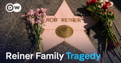 Son held on murder charges after director Rob Reiner and wife killed | DW News