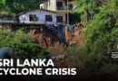 Sri Lanka Cyclone recovery: Food prices skyrocket after crop, livestock losses
