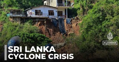 Sri Lanka Cyclone recovery: Food prices skyrocket after crop, livestock losses