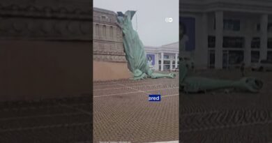 Storm topples Statue of Liberty replica in Brazil | DW News