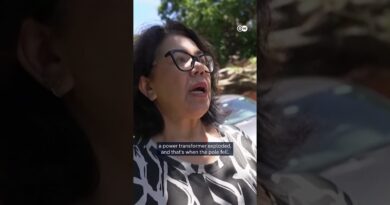 Strong winds leave millions in Sao Paulo without power | DW News