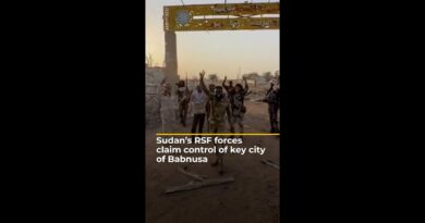 Sudan’s paramilitary RSF claims control of key city of Babnusa | AJ #shorts
