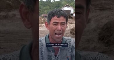 Sumatra flood survivors search for their loved ones | DW news