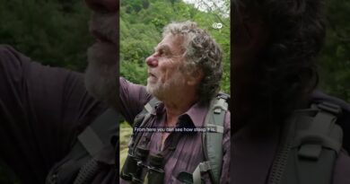 Switzerland’s “Ghost Valley” | DW Documentary