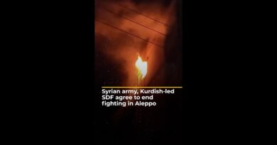 Syrian army, Kurdish-led SDF agree to pause after night of fighting | AJ#shorts