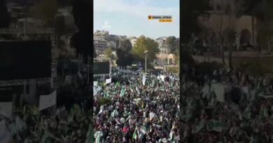 Syrians gather to celebrate first anniversary of Assad’s fall | AJ #shorts