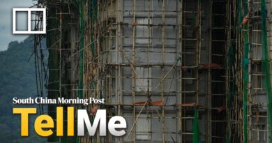 Tai Po fire highlights shady side of Hong Kong’s building renovation industry