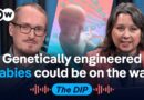 Tech titans lean into gene editing of embryos | The Dip Podcast