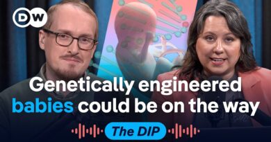 Tech titans lean into gene editing of embryos | The Dip Podcast