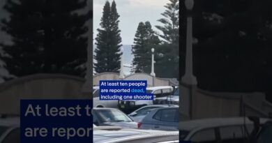 Ten people dead in shooting in Sydney | DW News