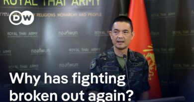 Thai-Cambodian border clashes: Why has fighting broken out again and what is it all about? | DW News