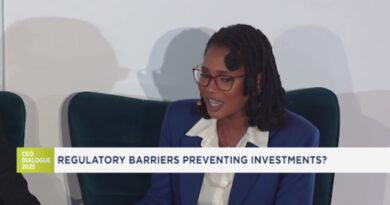 The CEO Dialogue on Southern Africa 2025