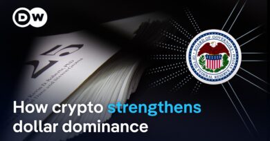 The ideology behind the US policy on crypto and digital money | DW News
