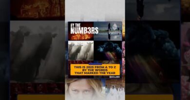 This is 2025 from A to Z by the words that marked the year | By the Numbers