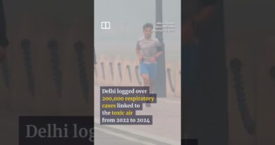 Toxic smog caused illness in 200,000 New Delhi residents