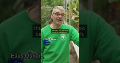 Tropical fruits… grown near the Arctic? | DW Documentary