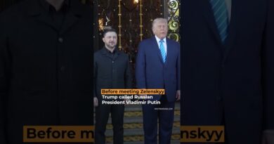 Trump and Zelenskyy hail ‘progress’ on Russia-Ukraine peace plan | AJ #shorts