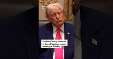 Trump Appears to Doze Off in Cabinet Meeting