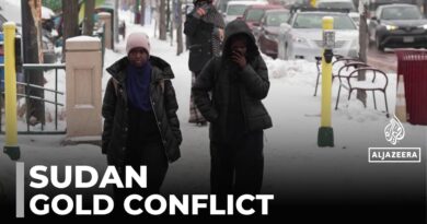 Trump attacks Somalis in Minneapolis: Residents fear being unfairly targeted