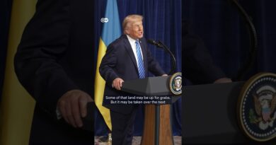Trump claims ‘Russia wants to see Ukraine succeed’ in Mar-a-Lago presser with Zelenskyy | DW News