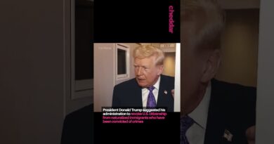 Trump’s administration is considering stripping citizenship from immigrants convicted of crimes