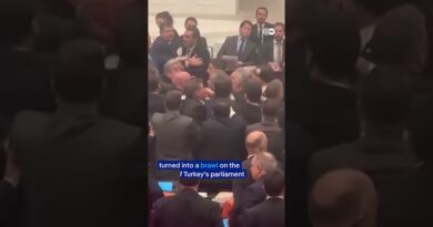 Turkish parliament session escalates into a brawl on last day of budget talks | DW News