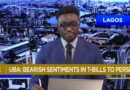 UBA: Bearish sentiments in T-bills to persist