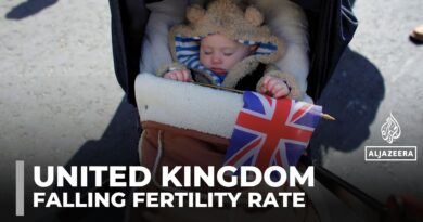UK faces falling birth rate as immigration debate intensifies