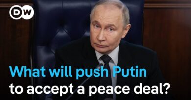 Ukraine allies ponder Putin tactics in push for peace | DW News