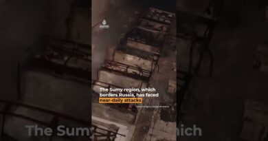 Ukraine firefighters rush to rescue people, pets after Russian strike | AJ #shorts