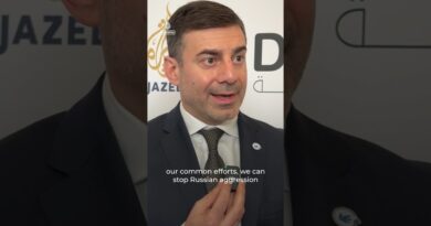 Ukraine official warns of a ‘new law of power’ after Russian aggression