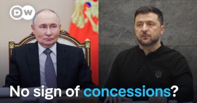 Ukraine peace deal: Zelenskyy emphasises the stipulation of security guarantees | DW News