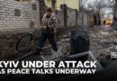 Ukraine war: Kyiv residents fear escalation amid Zelenskyy-Trump peace talks