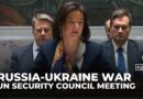 UN Security Council meeting on Ukraine urges for ceasefire as Russia escalates war