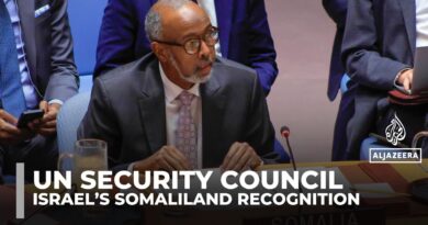 UN Security Council members condemn Israel’s recognition of Somaliland