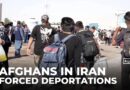 Uncertainty for Afghans in Iran: Undocumented migrants forced out in name of security