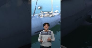 Underwater drone warfare: a new front? | DW News