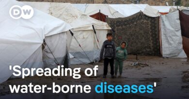 UNICEF: Babies reportedly dying amid adverse weather in Gaza | DW News