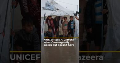UNICEF tells Al Jazeera what Gaza urgently needs but doesn’t have | AJ #shorts